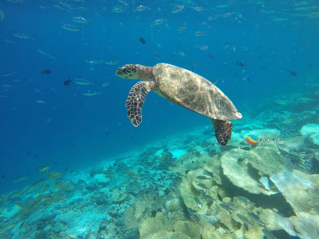 Rasdhoo 拉什度轻松旅馆酒店 外观 照片