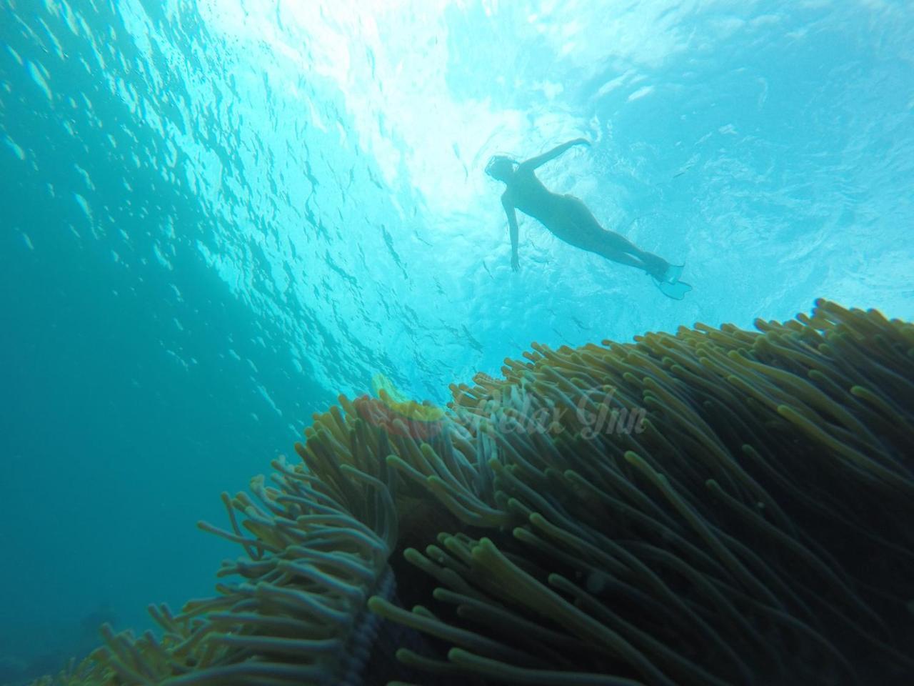 Rasdhoo 拉什度轻松旅馆酒店 外观 照片