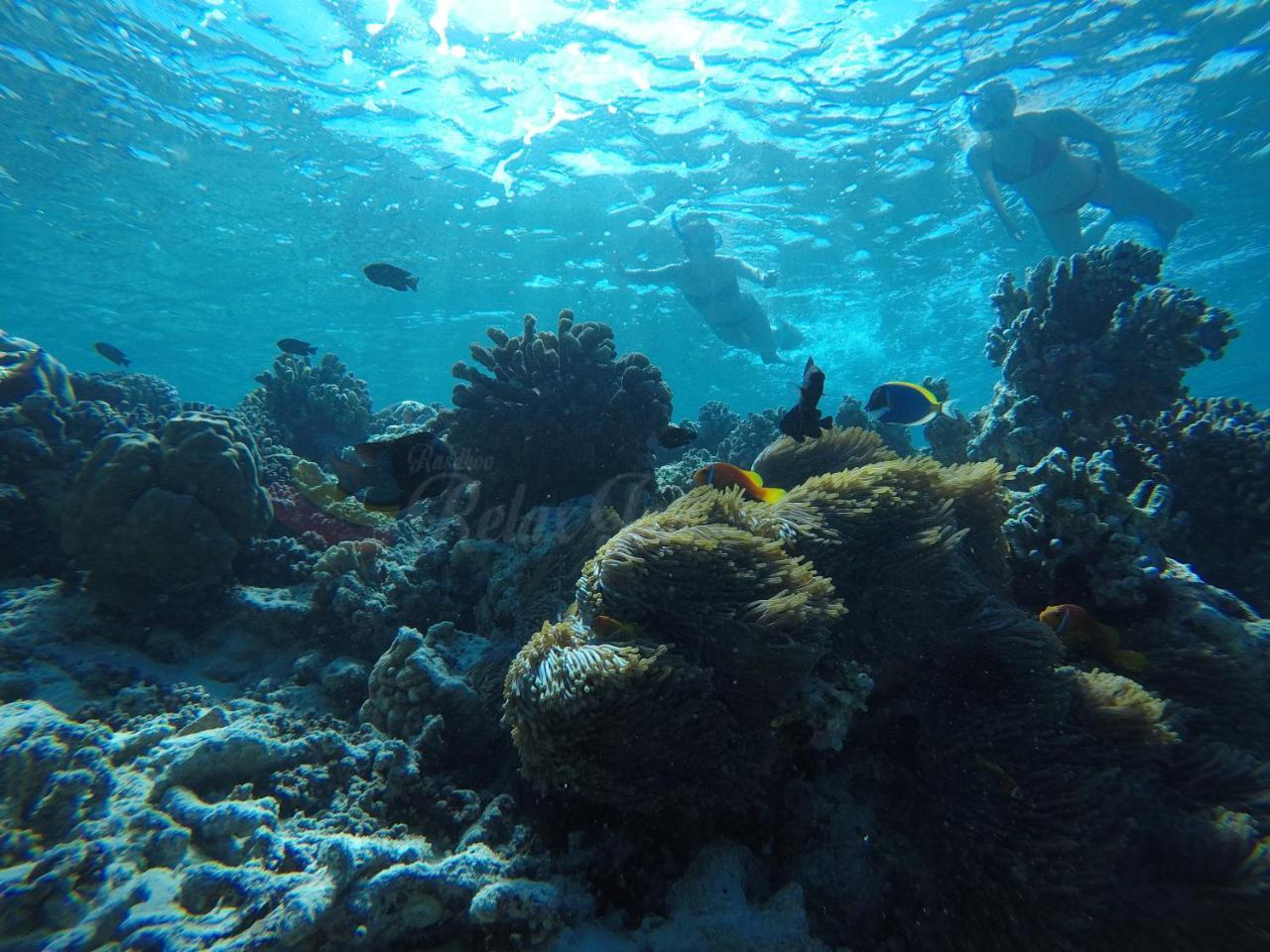 Rasdhoo 拉什度轻松旅馆酒店 外观 照片